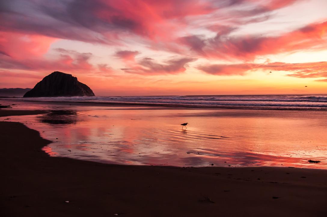 Labore sint unde quis quas cupiditate