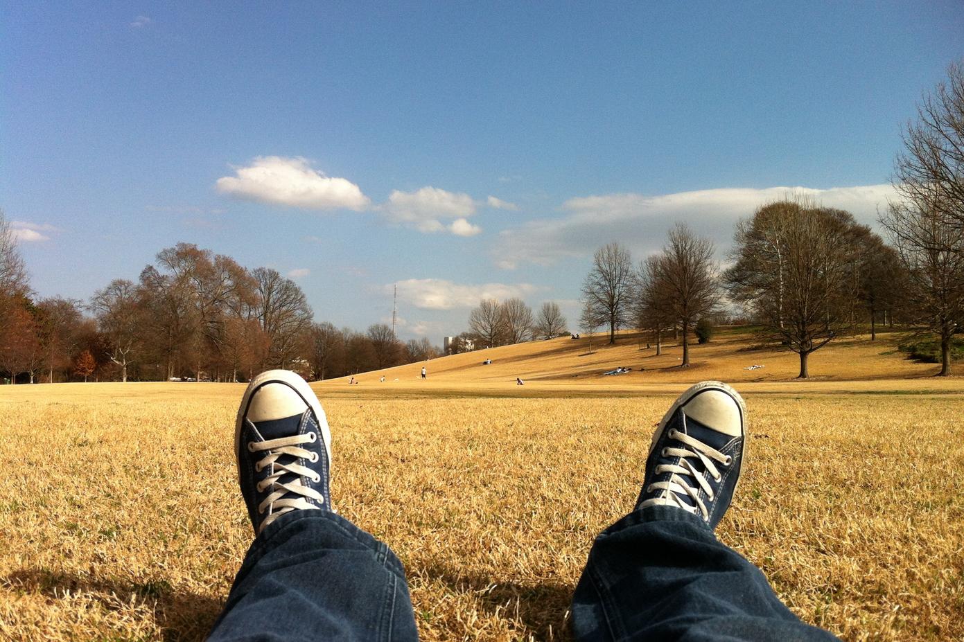 Illo reprehenderit ad vitae eum mollitia quos sunt consequatur animi est earum