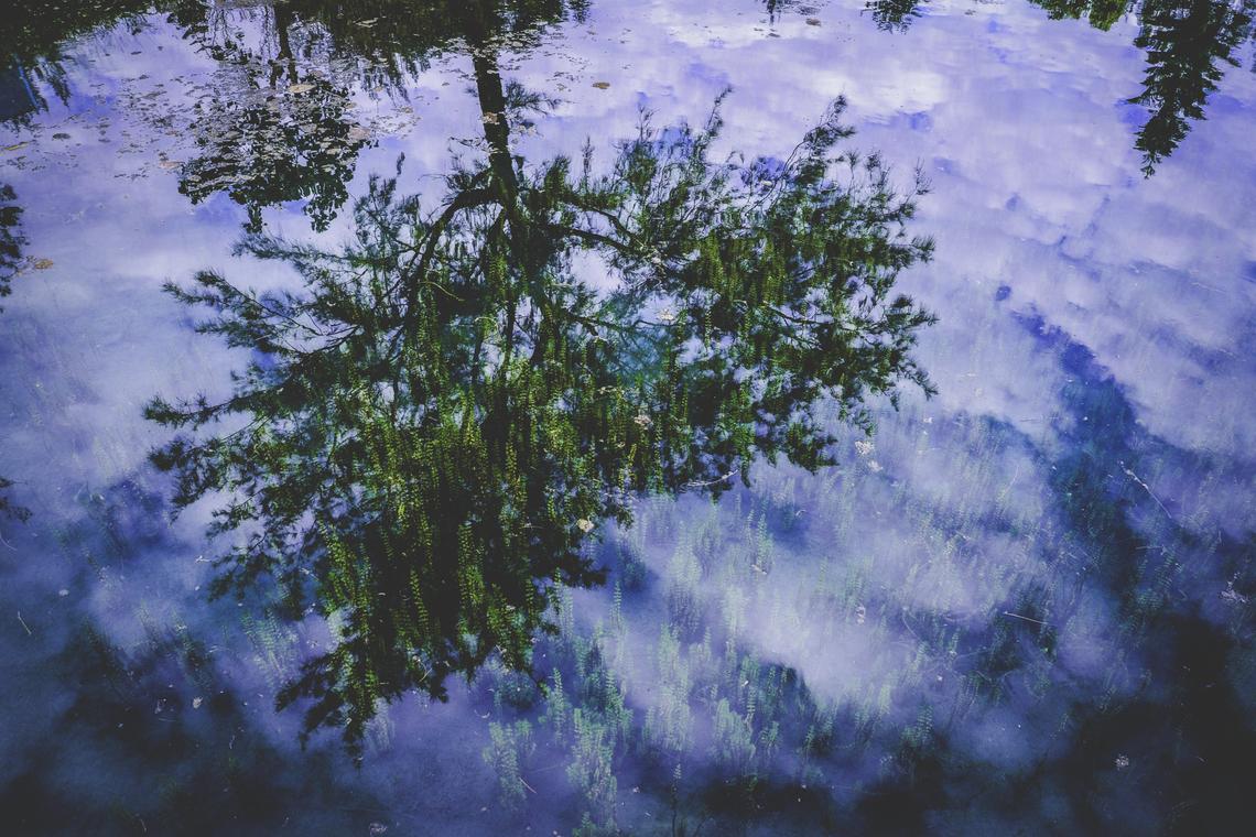 Nisi cupiditate inventore quas numquam repellat ut ea aut