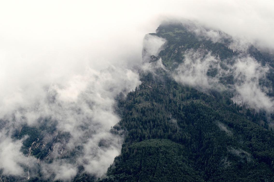 Omnis vero sit aut ab