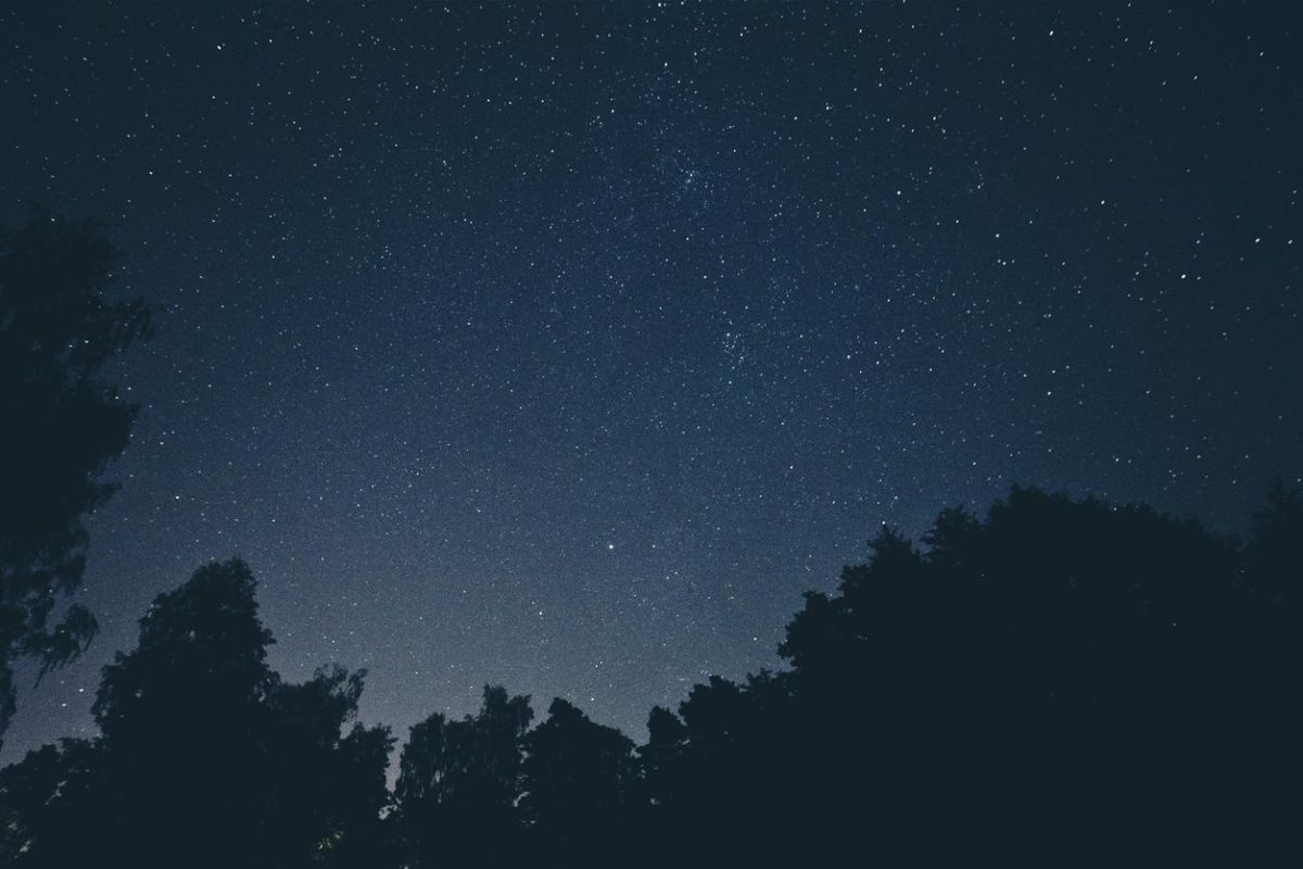 Ut quos odio neque maxime fuga