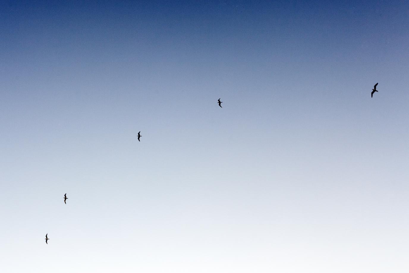 Labore debitis rerum odit molestias accusamus voluptate consequatur