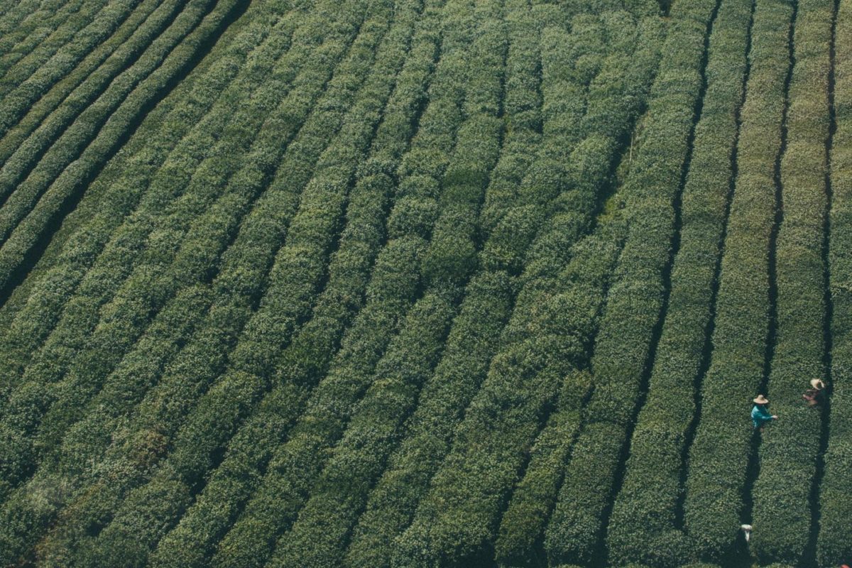 Natus et perspiciatis maiores