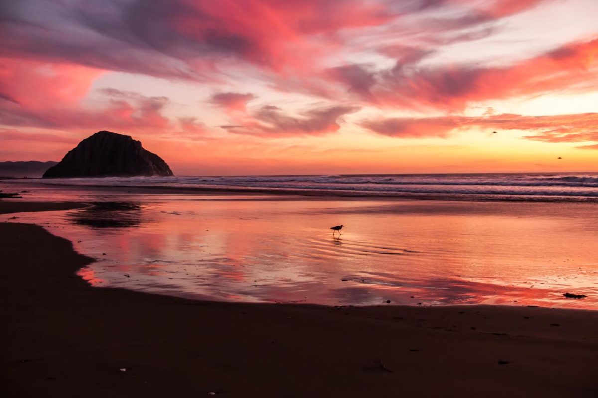 Quisquam incidunt et id sit sapiente