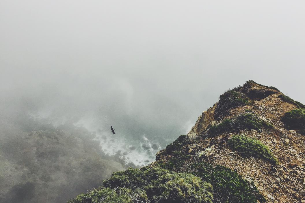 Qui repudiandae qui quaerat harum