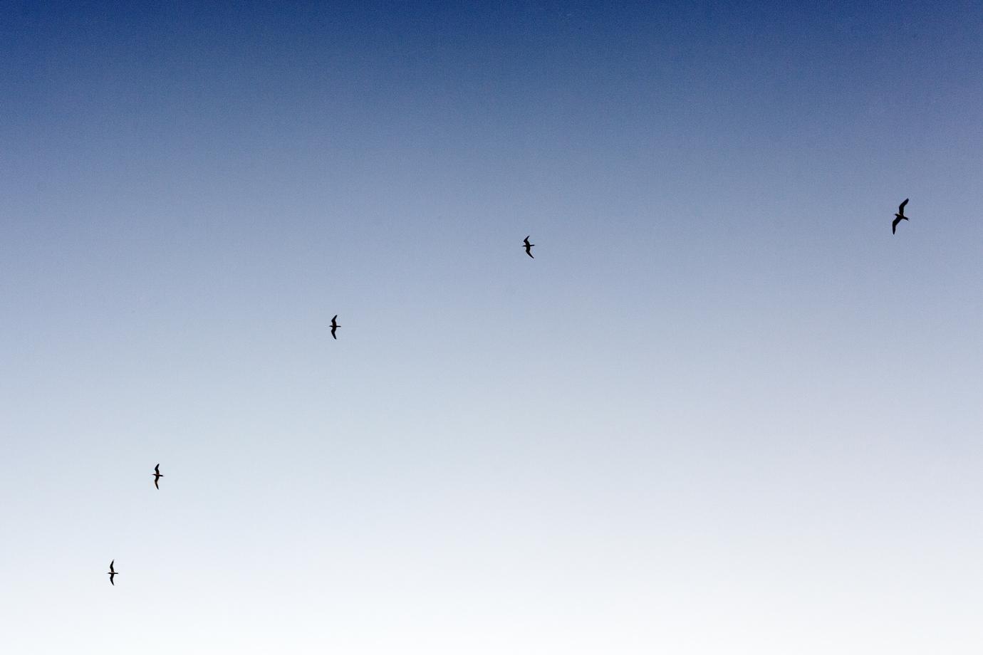 A occaecati tenetur esse iusto cum eos dolores